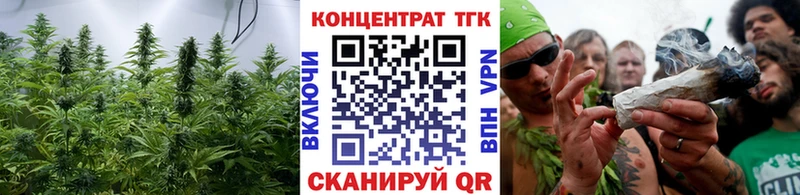 ТГК концентрат Изобильный