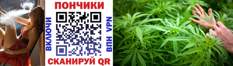 хочу наркоту  Изобильный  блэк спрут как войти  Марихуана сатива 